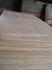 Plywood at best price from Vietnam