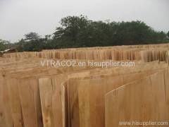 Eucalyptus Core Veneer from VTRACO