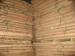 Core Veneer made from Eucalyptus and Acacia for making Hardwood Plywood