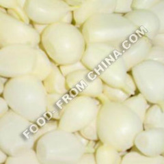 fresh garlic