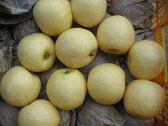 Golden pear