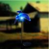 solar humming bird light