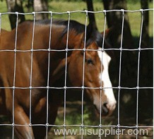 horse fence