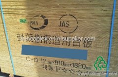 pine Plywood for JAS