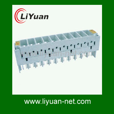 10pair LSA module