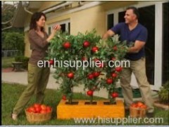 Tomato Factory Planter