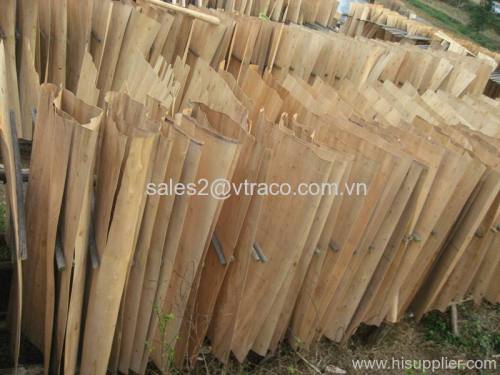 Eucalyptus Core Veneer from VTRACO