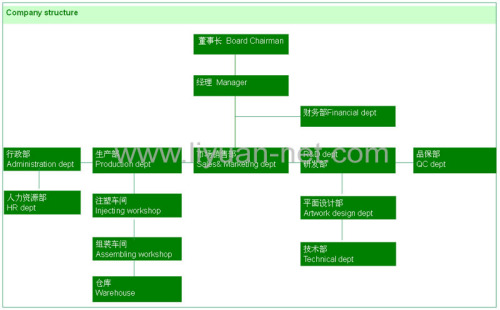 Company Structure