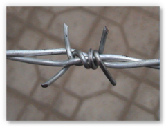 Barbed Wire