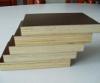 Birch Film Faced Plywood