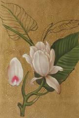 pure white flower oil painting