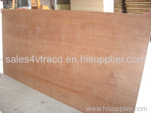 Eucalyptus plywood from Vietnam