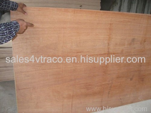 Keruing plywood for furniture