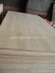 Hardwood Plywood from Vietnam at best price