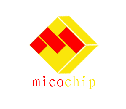 Shenzhen Micochip Technology Company