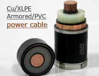 10KV Single core Copper Conductor XLPE insulation Aluminum Tape Armored Power Cable