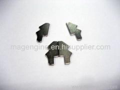 NdFeB Special shape Magnets