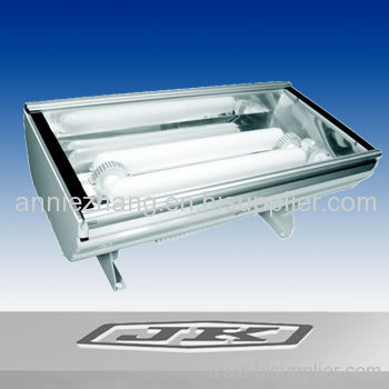 induction lamps