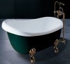 elegant design bathtub