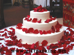 Silk Rose Petal / Wedding Petals