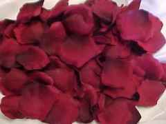 Silk Rose Petal