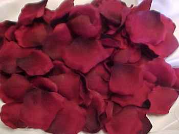 Silk Rose Petal