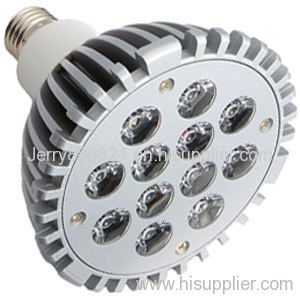 LED PAR38 Light