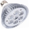 PAR30 LED Lamp