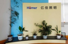 Ningbo Homer Electronics Lighting Co., Ltd.