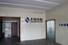 Ningbo Yinzhou Fengtech Motor Co., Ltd.