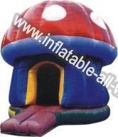 Primary Mushroom Bounce House