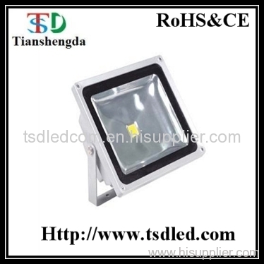 LED Flood Light (50W)