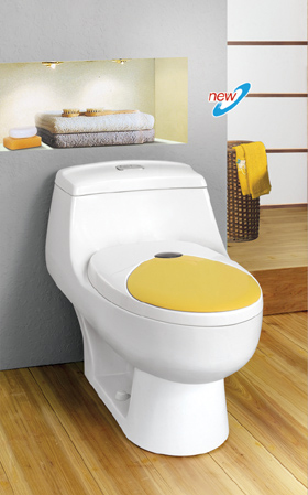 sanitary ware toilet