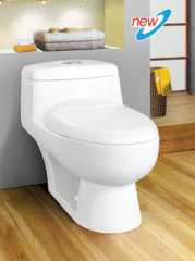 wall mounted toilet