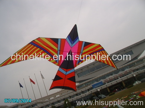 Lightest single line kite