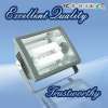 Energy saving electrodeless flood lighting