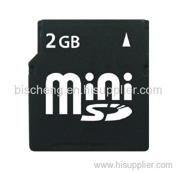 Mini SD card