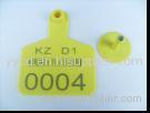 ear tagging for mice