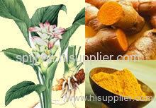 curcumin95%