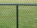 PVC Coated Chain Link Fence