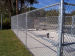 PVC Coated Chain Link Fence