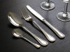 stainlesss steel cutlery