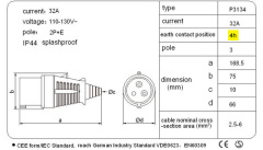 P3134 Industrial plug