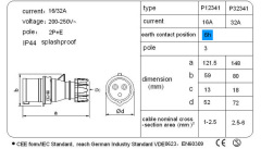 P12341/P32341 Industrial plug