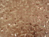 Mesh fabric---6mm spangle embroidery