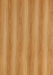 Beech Wood Grain