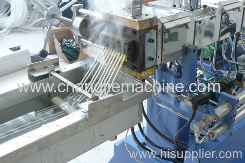 Water Ring Pelletizing Making Line