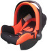 Safety carrier for car