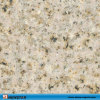 granite tiles and slabs,grantie countertop and vanity,granite fireplace,granite tombstone