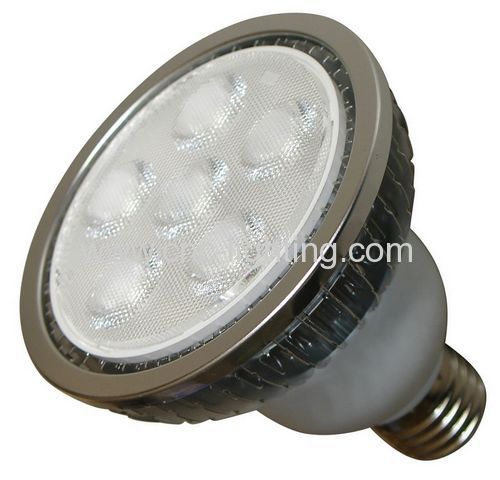 Dimmable LED Par30 Light